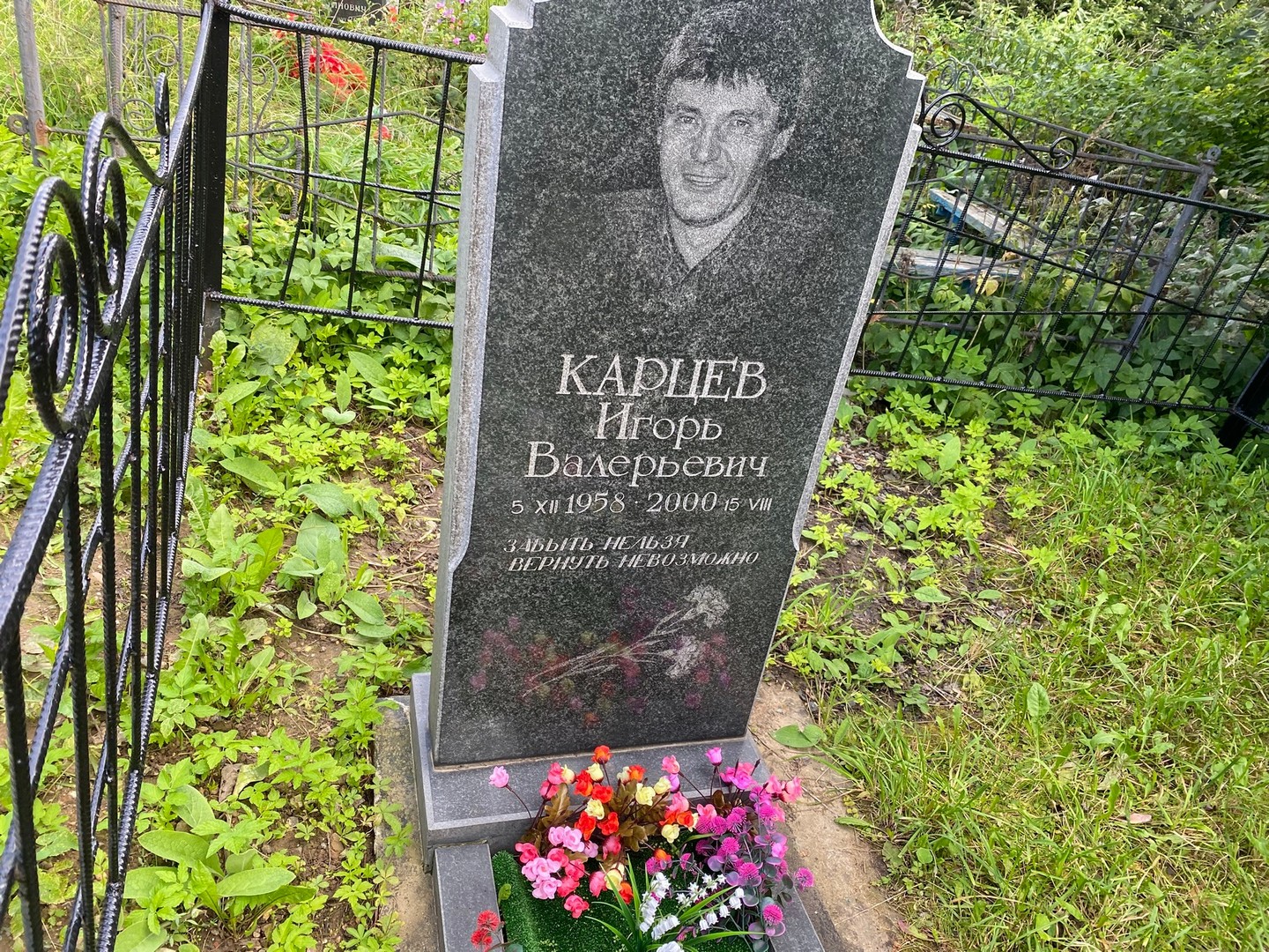 Карцев