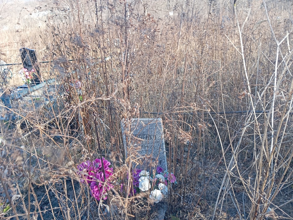 Бабченко Елена Петровна