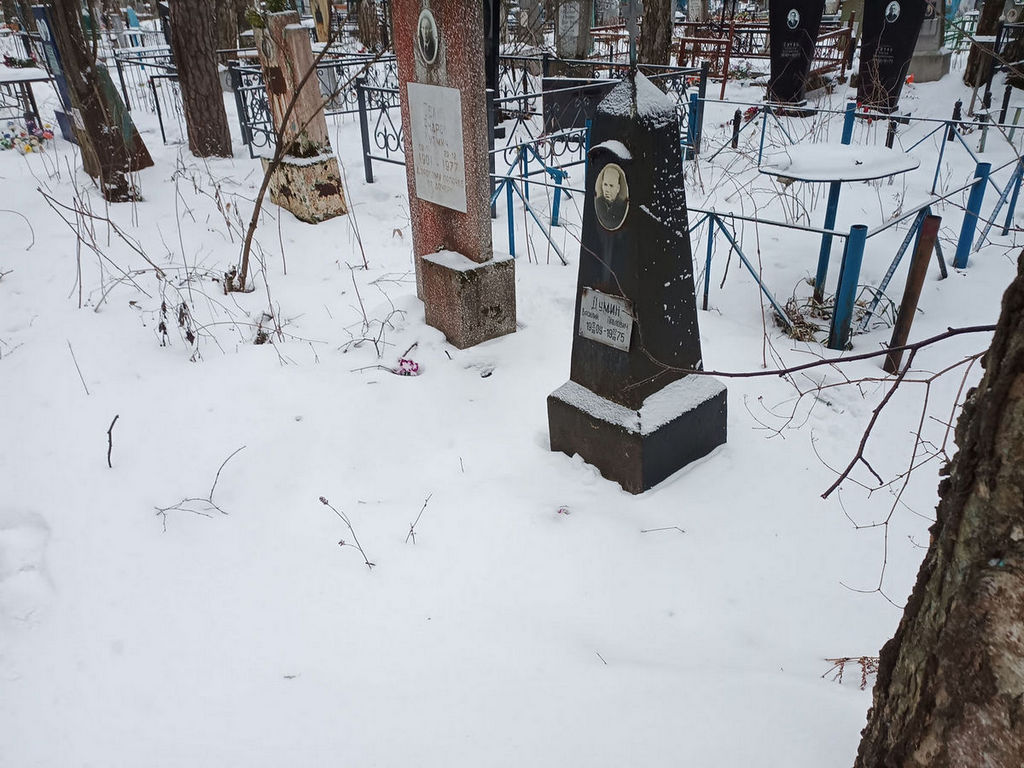 Думин Василий Павлович