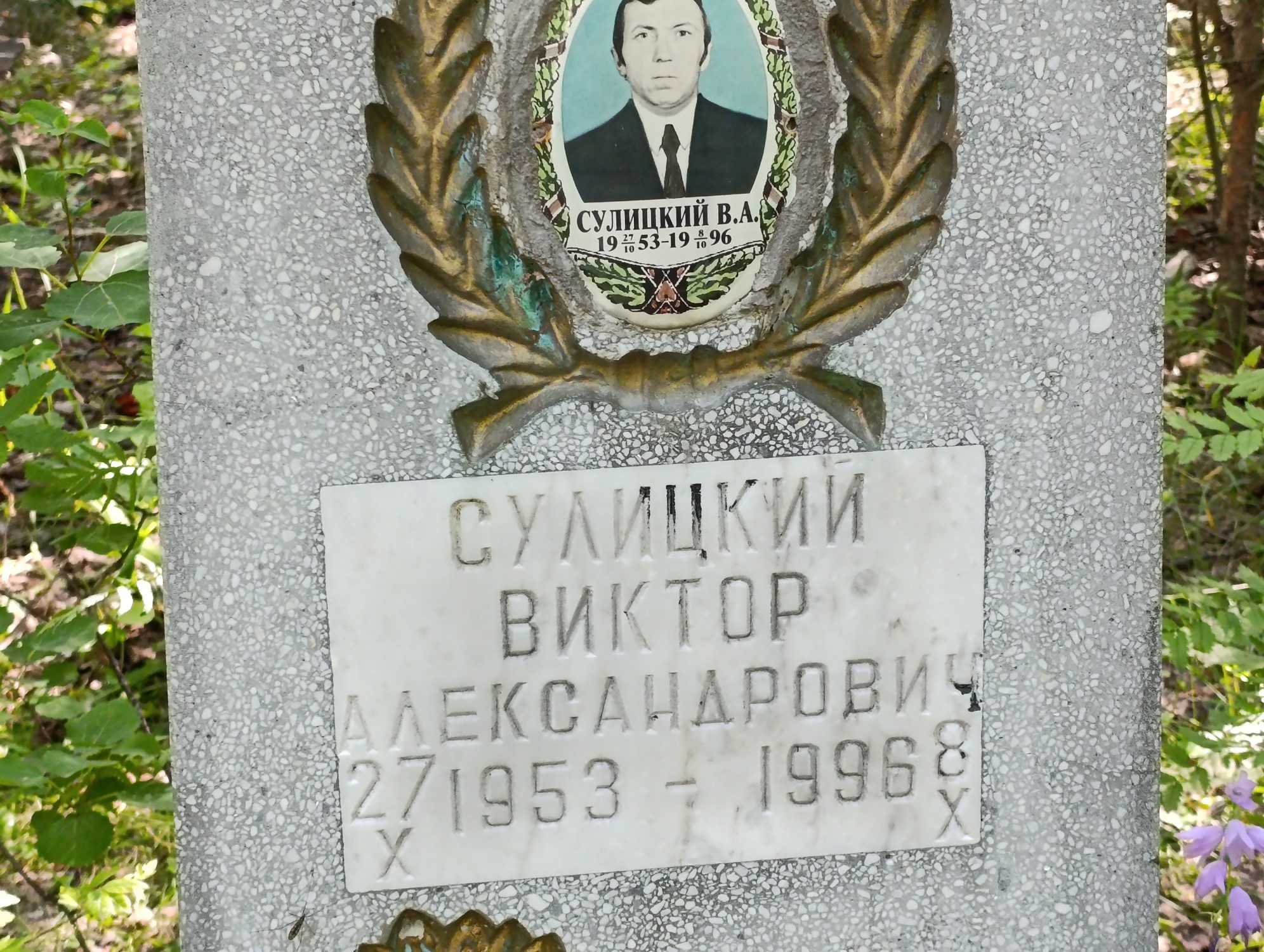 Сулицкий Виктор Александрович