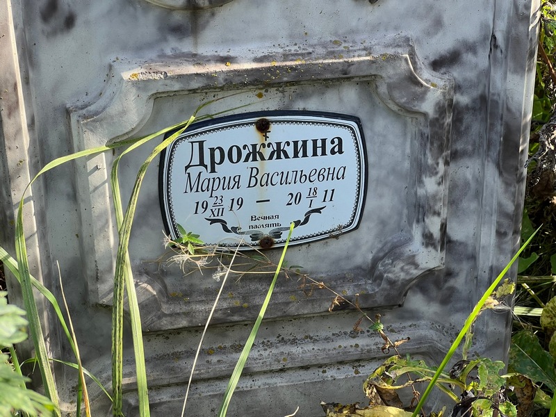 Дрожжина