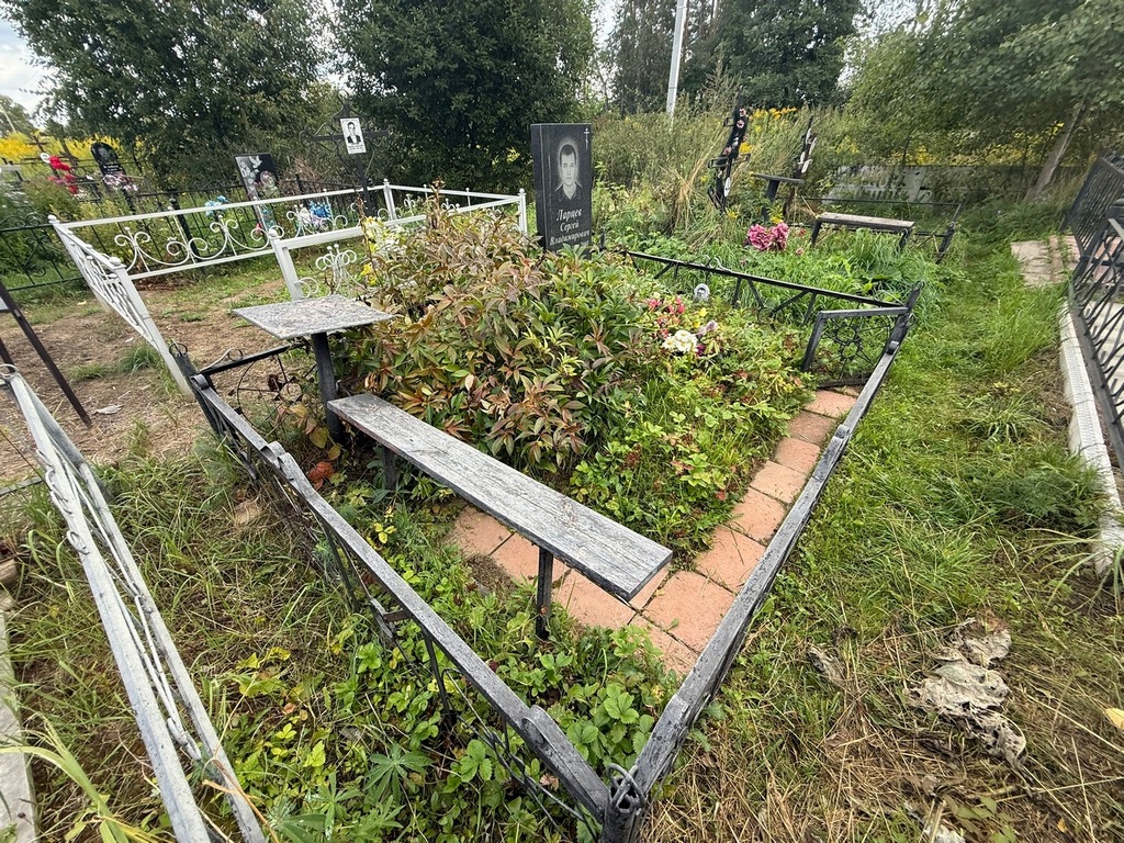 Ларцев Сергей Владимирович