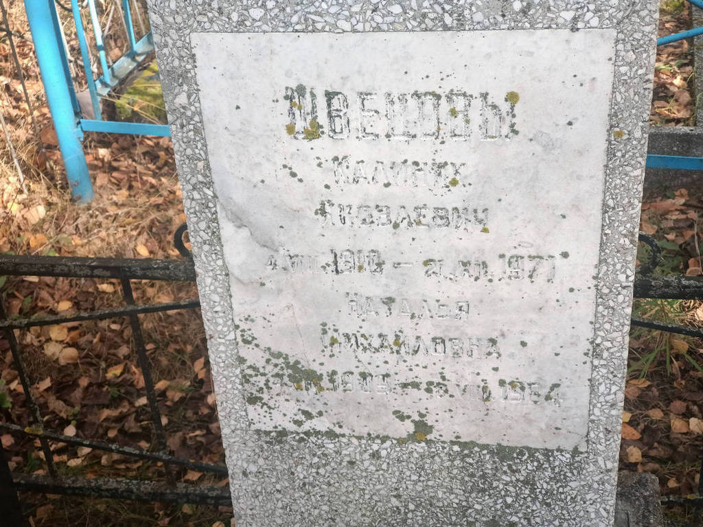 Швецова Наталья Михайловна