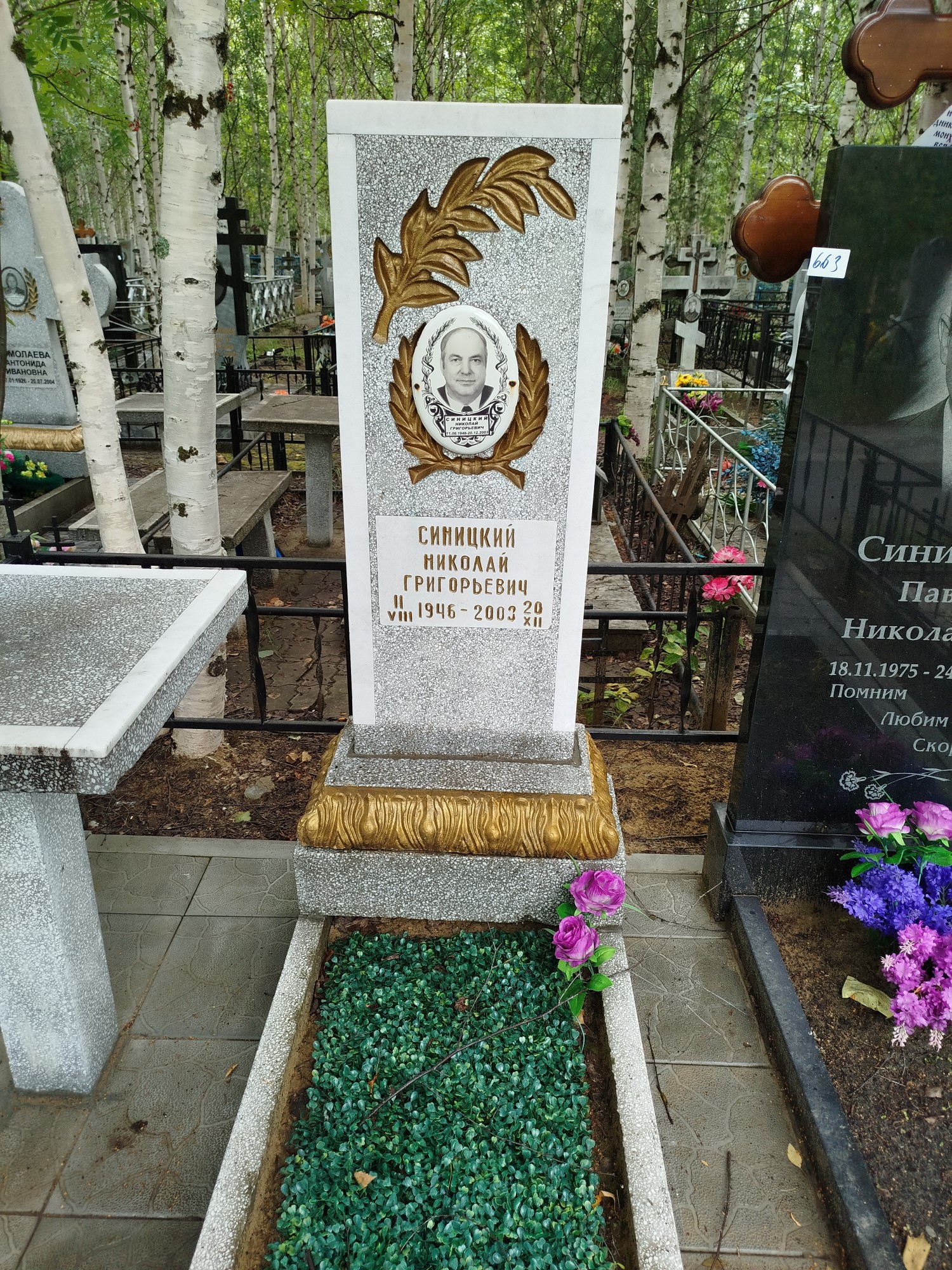 Синицкий Николай Григорьевич