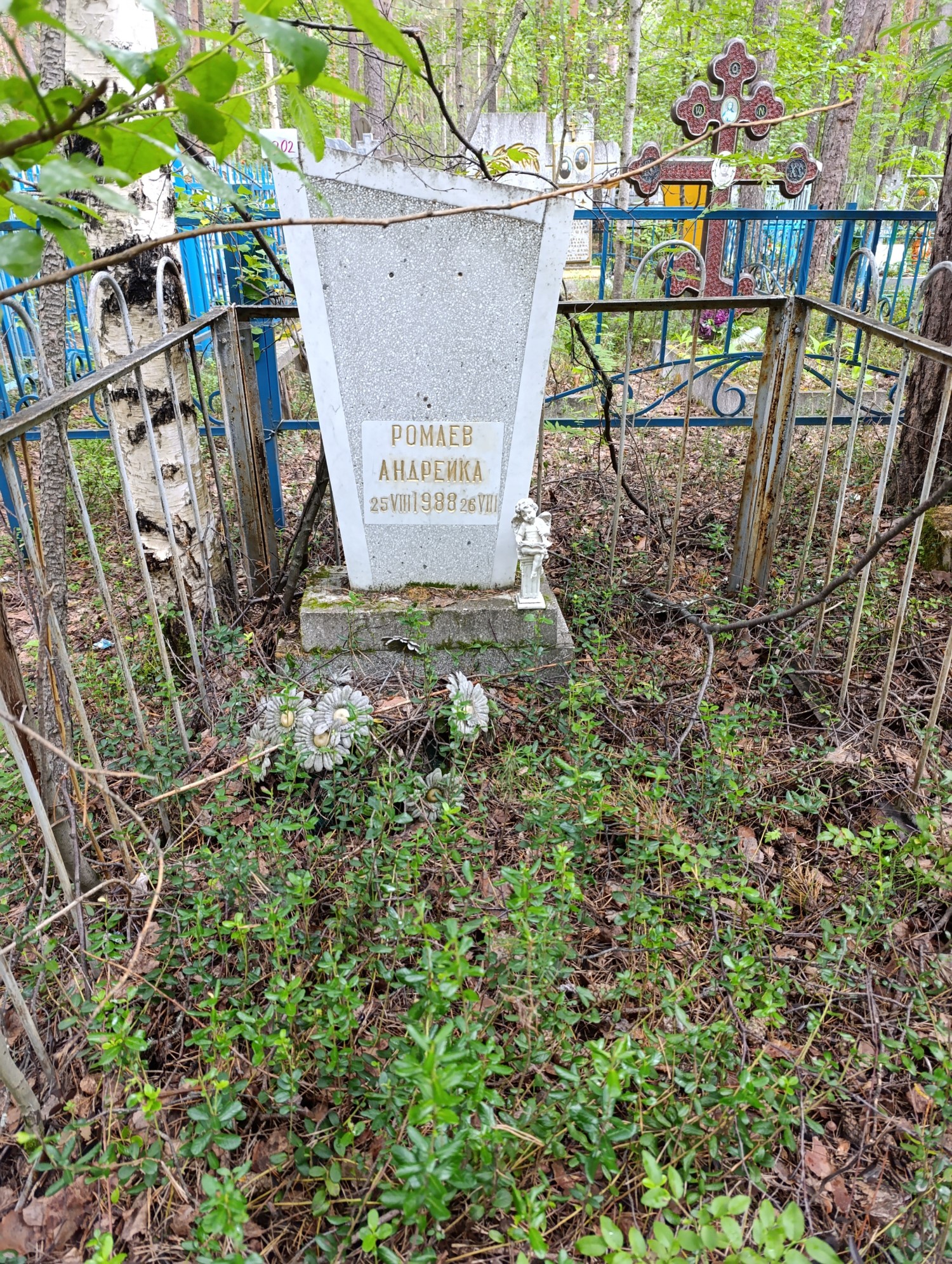 Ромаев Андрейка