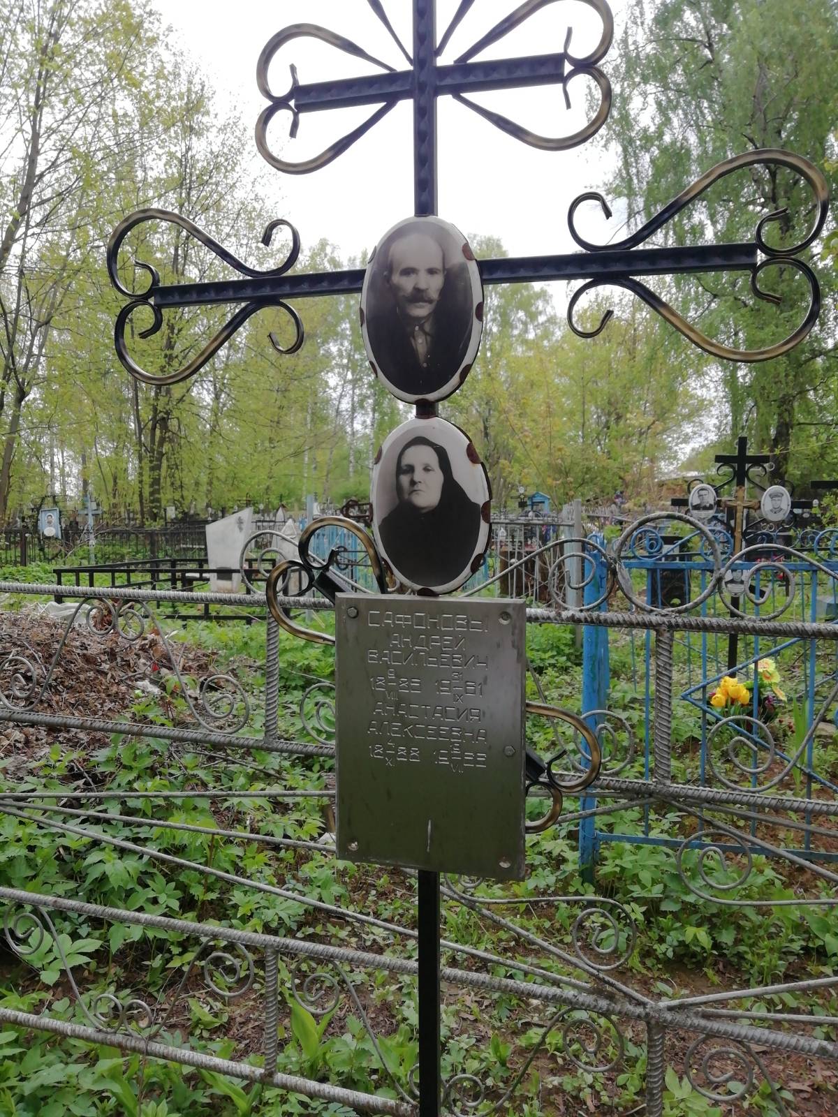 Сафонова Анастасия Алексеевна