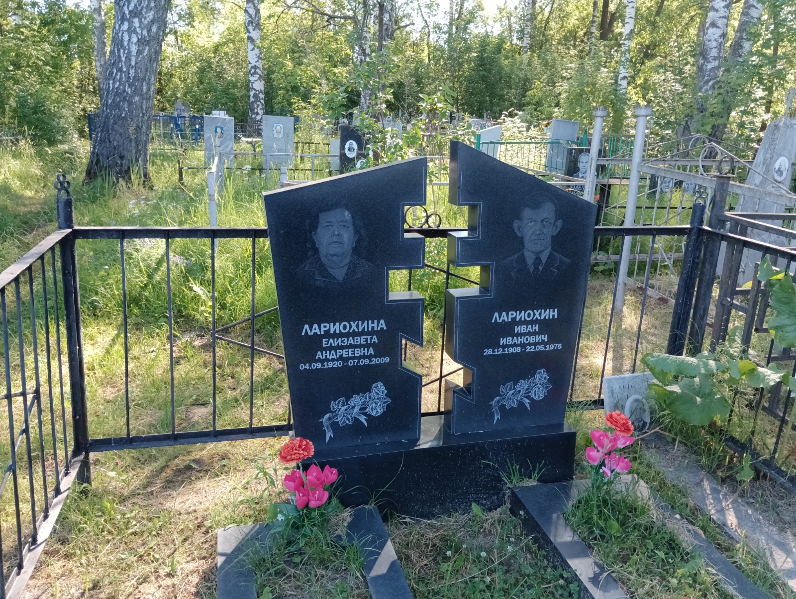 Лариохина Елизавета Андреевна