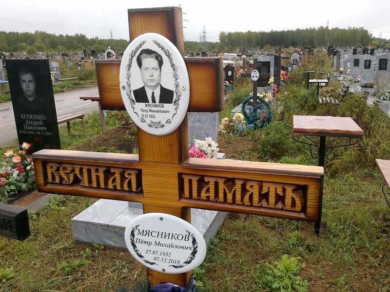 Мясников