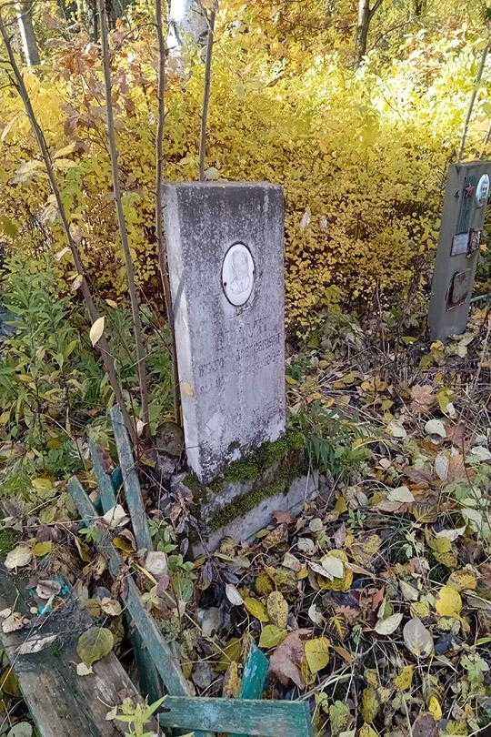 Браун Виктор Алексеевич