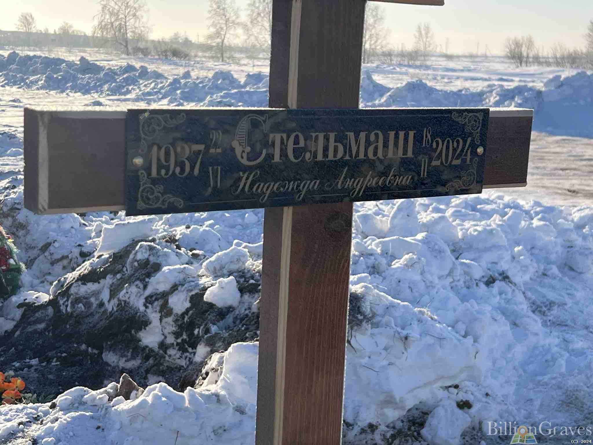 Стельмаш Надежда Андреевна