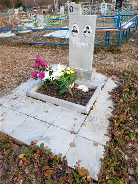 Галкин Аркадий Михайлович