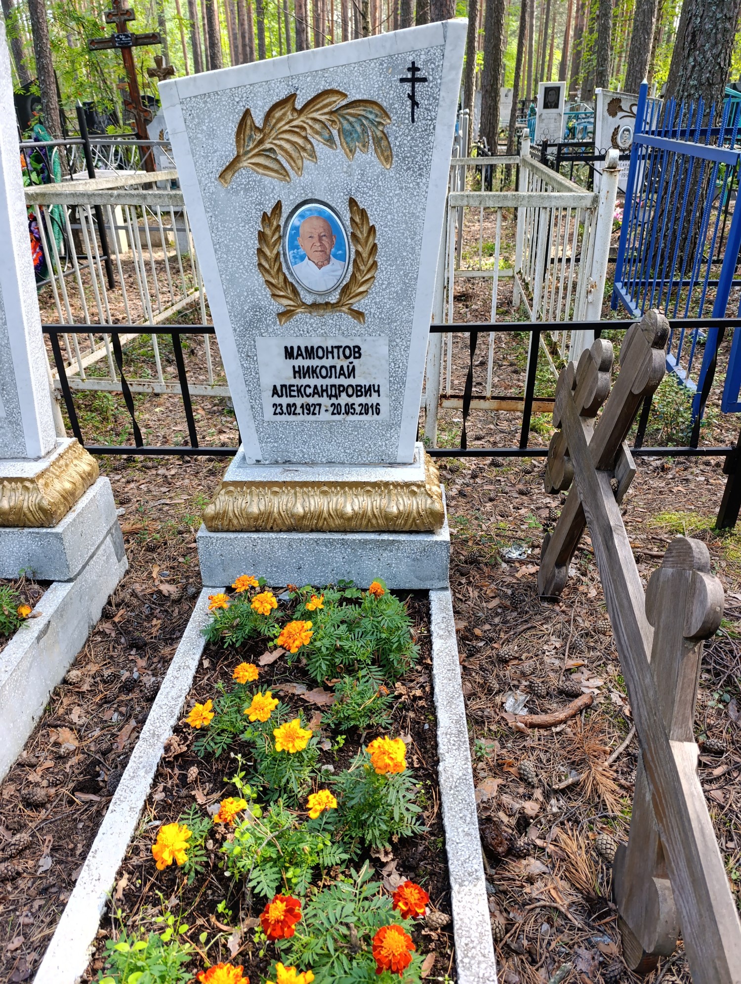Мамонтов Николай Александрович