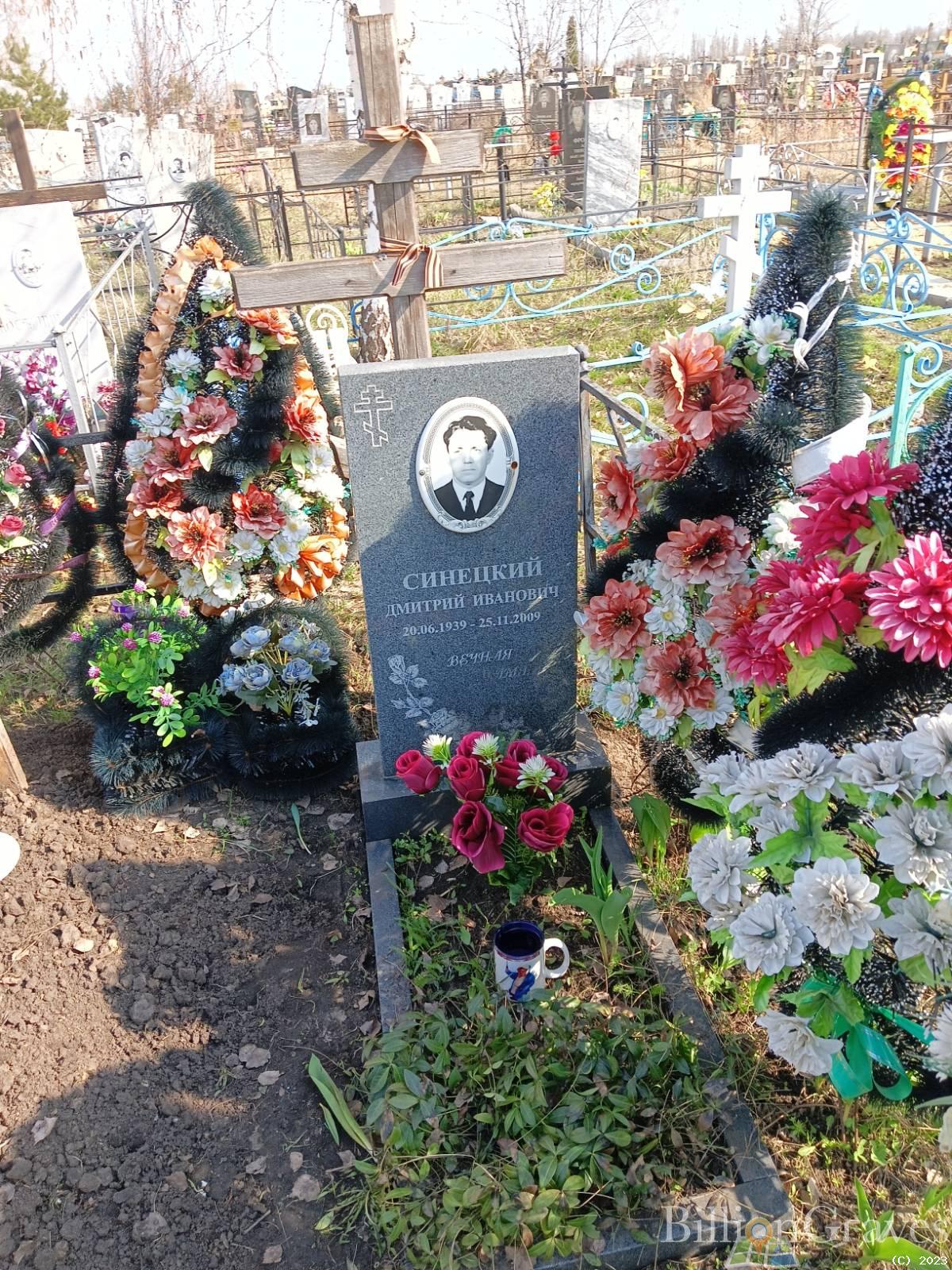 Синецкий Дмитрий Иванович