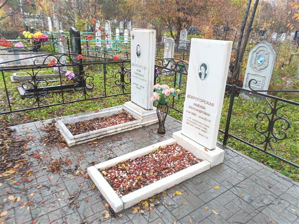 Доброгорский Юрий Гарипович