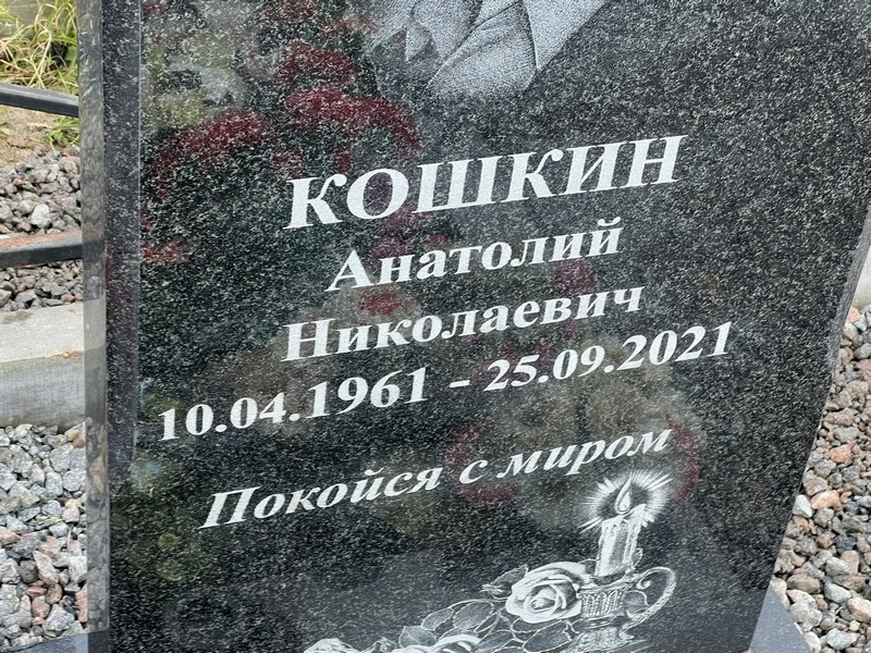 Кошкин