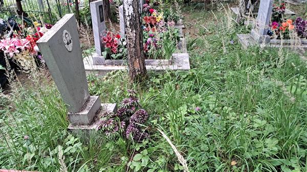 Месилов Александр Юрьевич