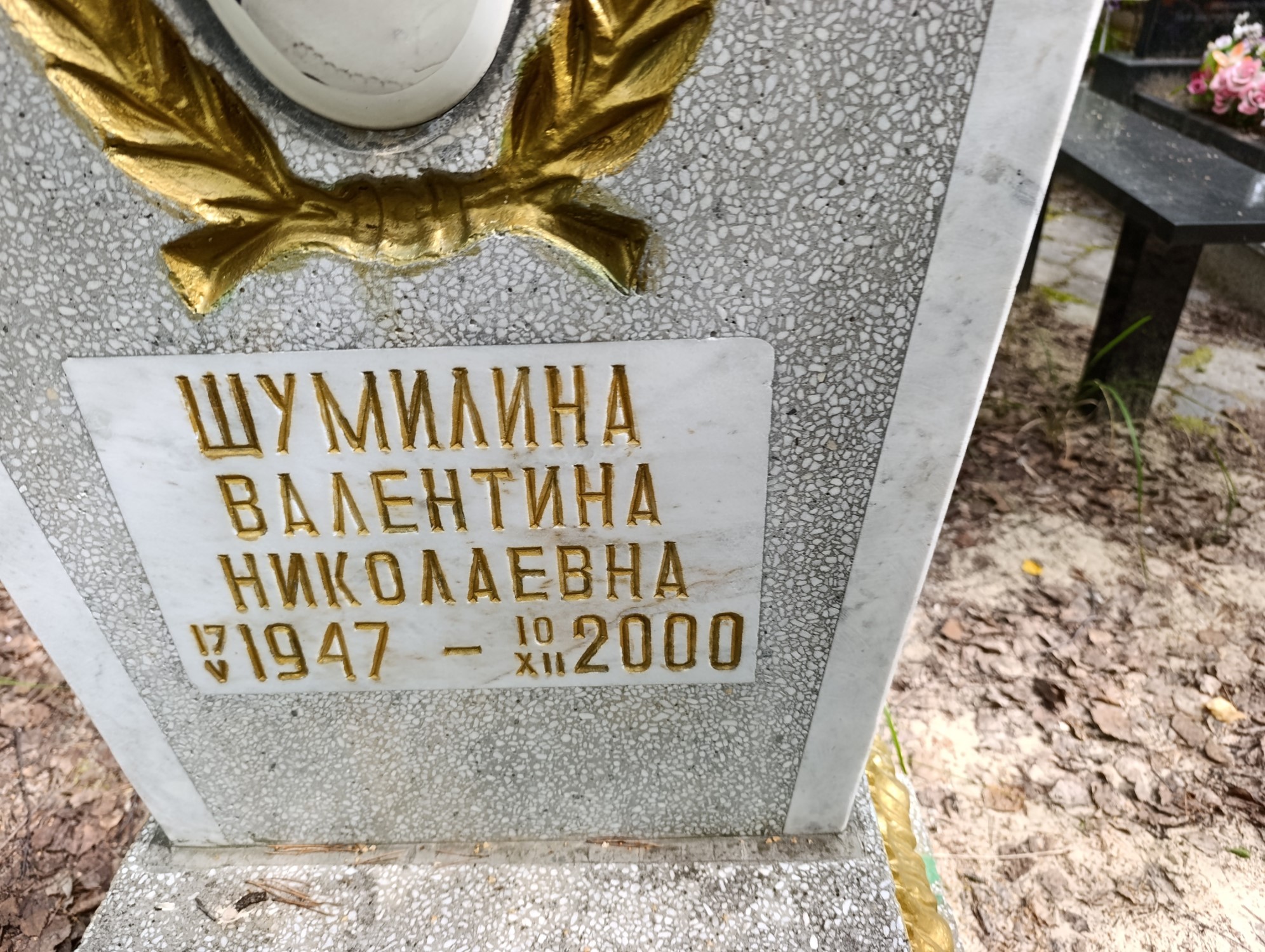 Шумилина Валентина Николаевна