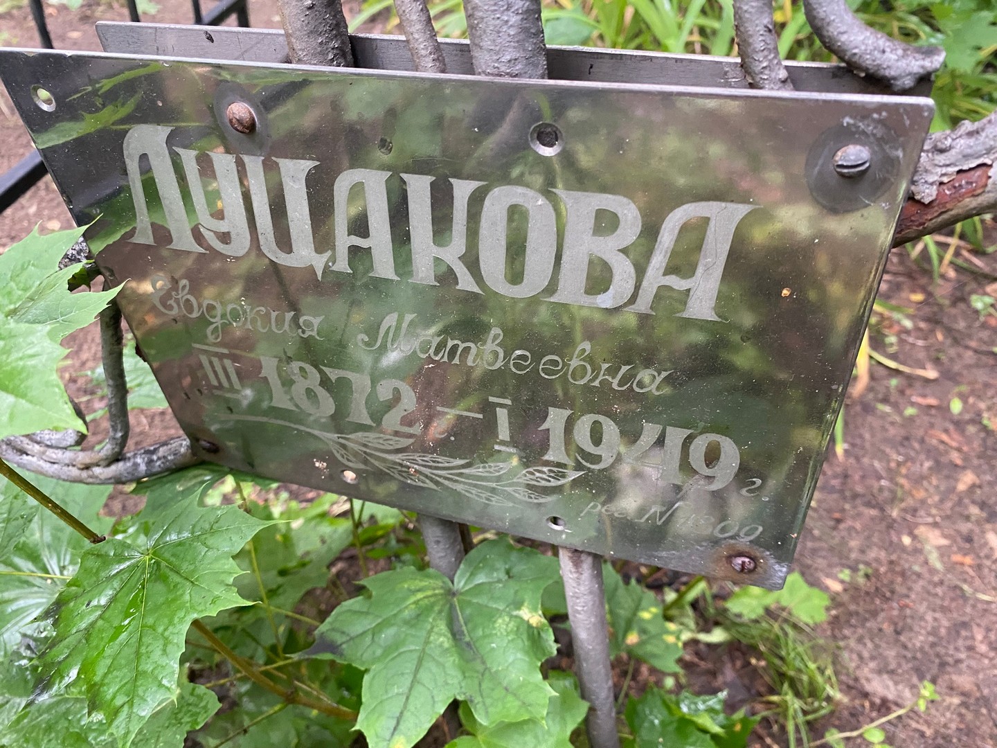 Луцакова