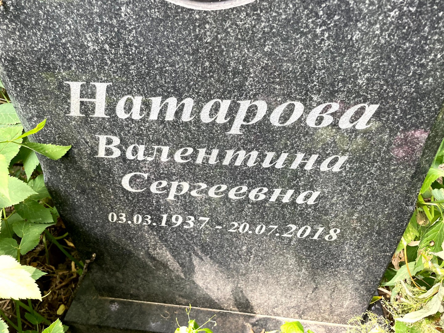 Натарова