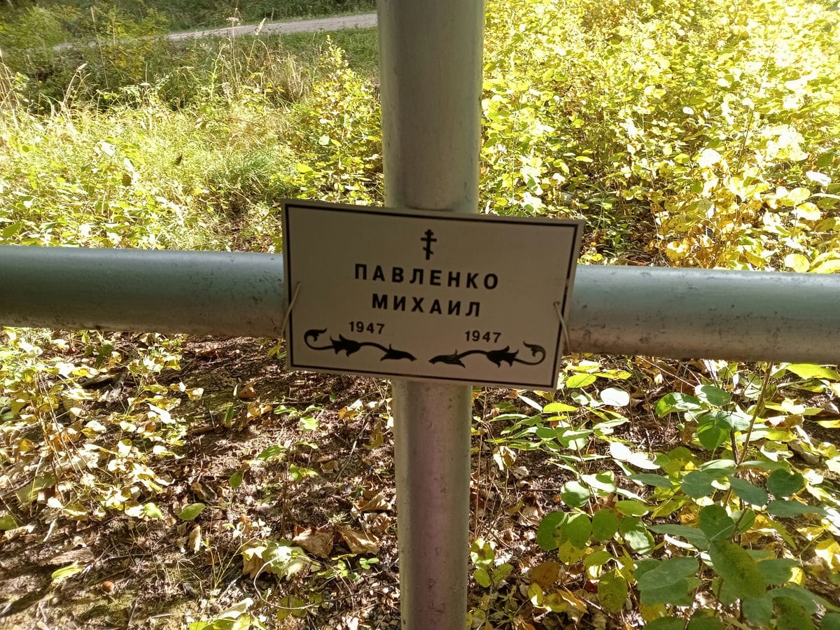 Павленко Михаил