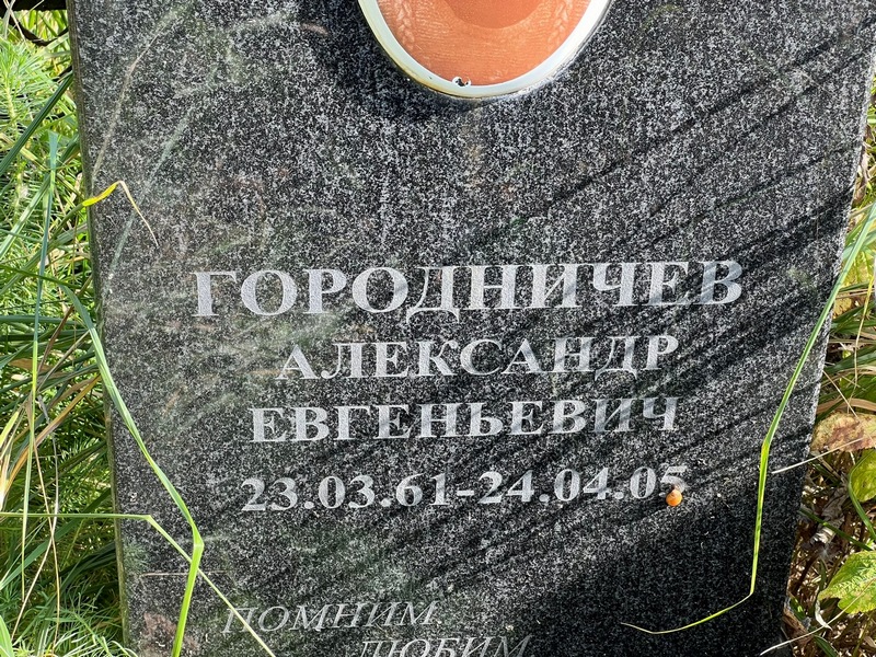 Городничев