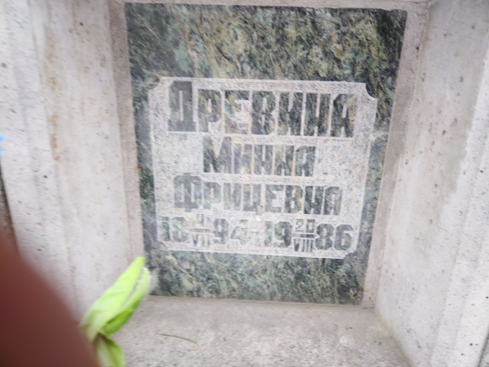 Древина Минна Фрицевна