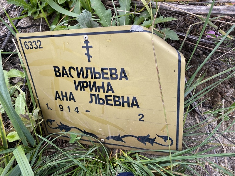 Васильева