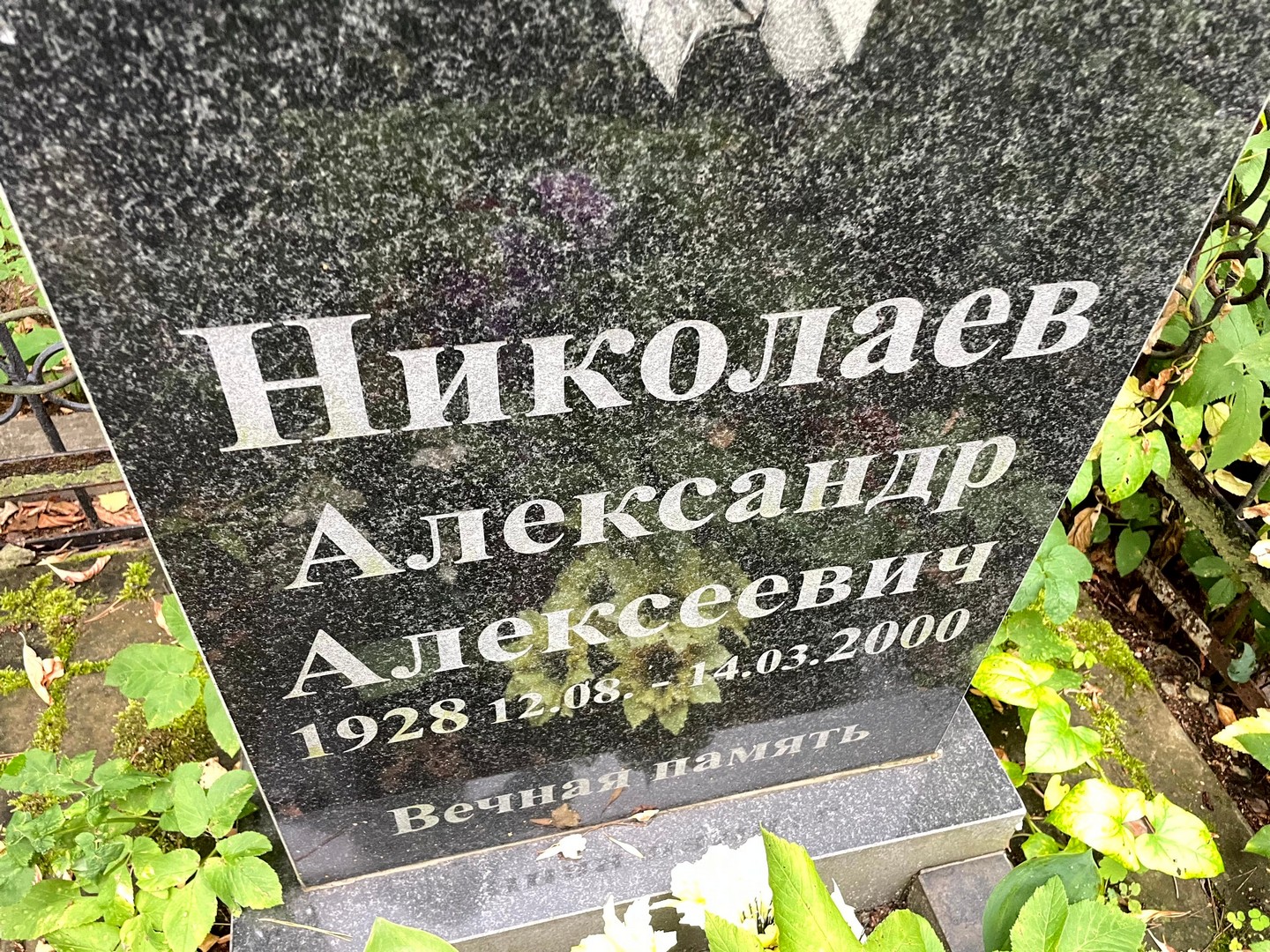 Николаев