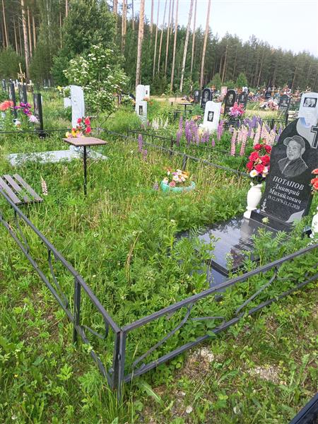 Потапов Дмитрий Михайлович