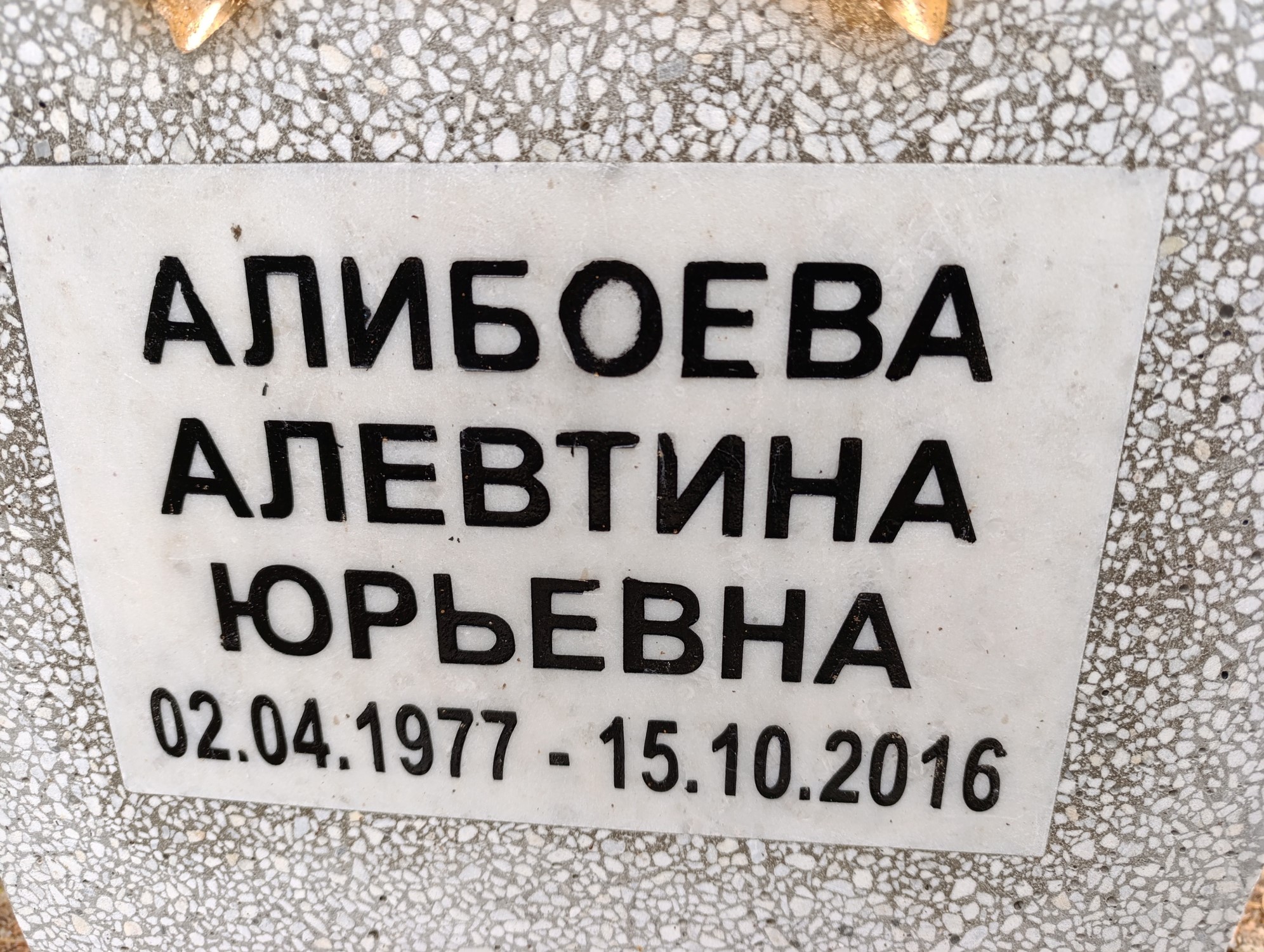 Алибоева Алевтина Юрьевна