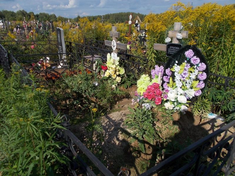 Ершова Апполинария Михайловна