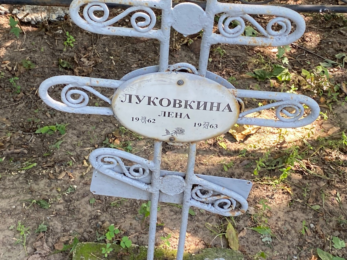 Луковкина Луковкина