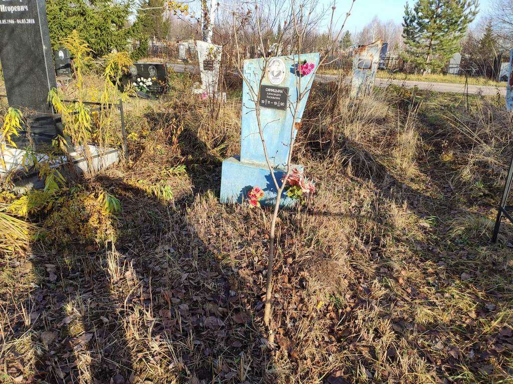 Синицына Александра Васильевна