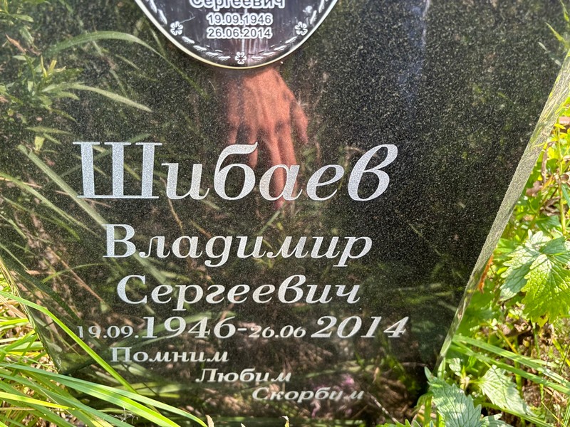 Шибаев