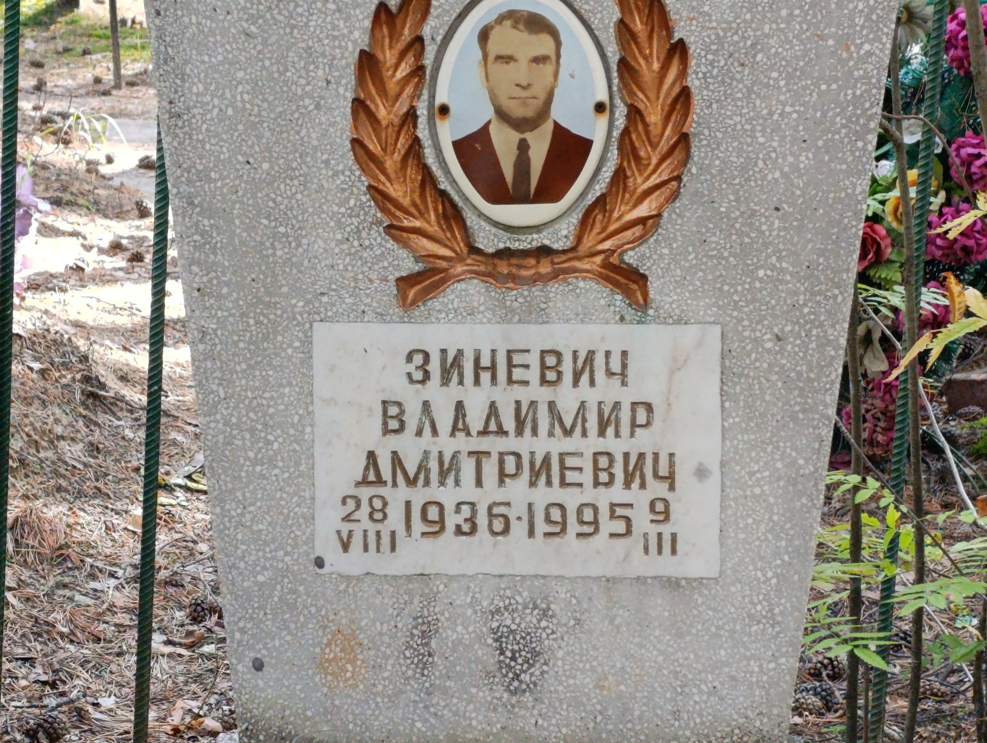 Зиневич Владимир Дмитриевич