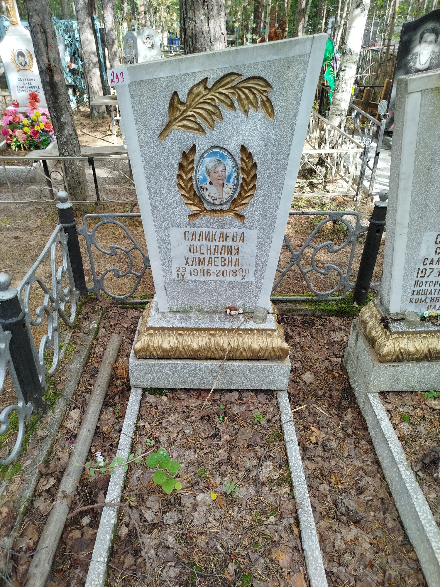 Саликаева Феналия Хамаевна
