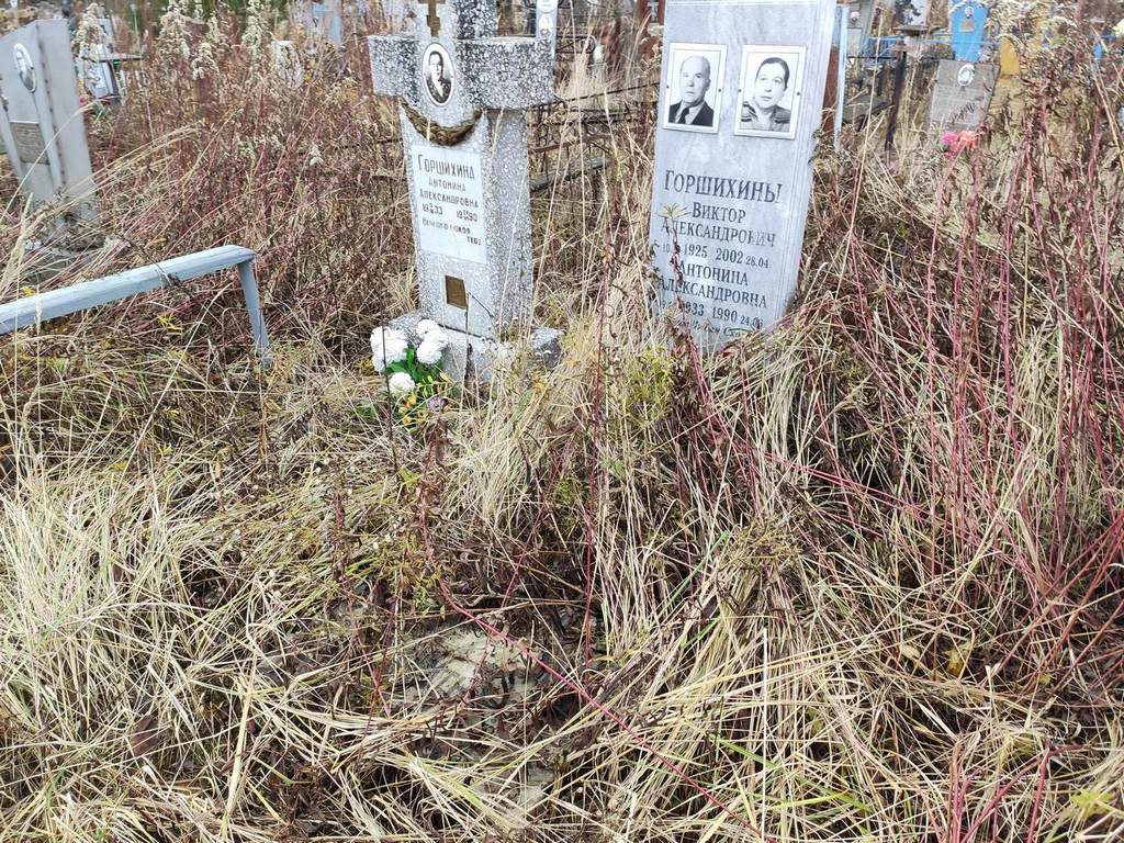 Горшихин Виктор Александрович