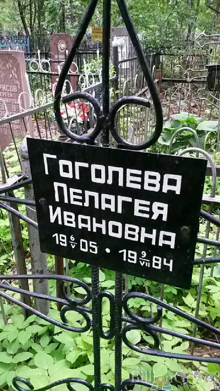 гоголева пелагея ивановна