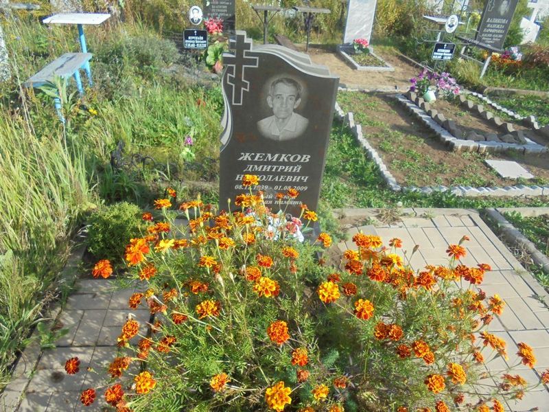 Жемков Дмитрий Николаевич