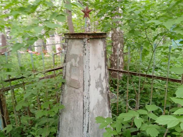 Волова Татьяна Иосифовна