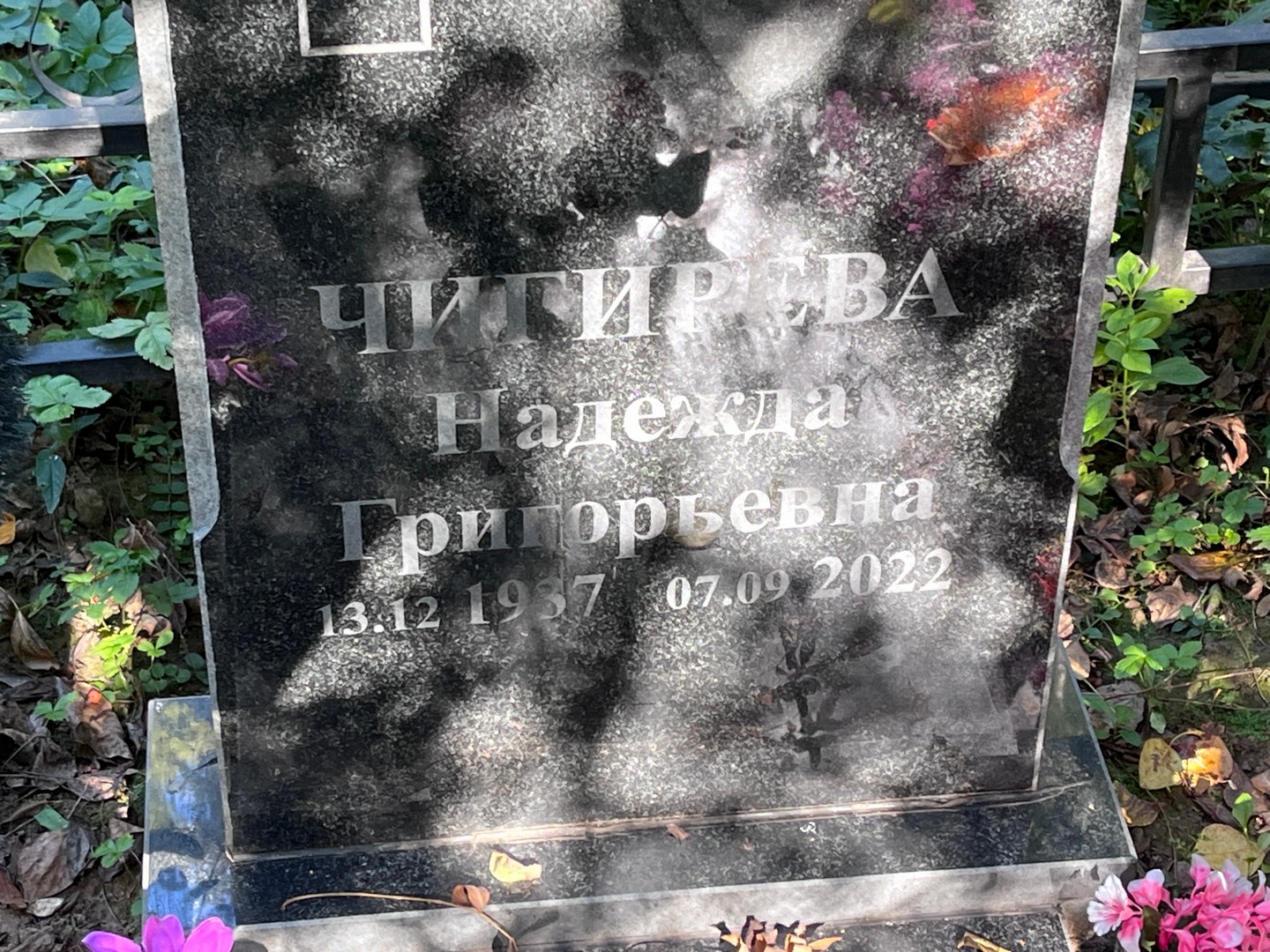 Чигирева
