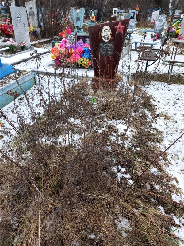 Насипов Вазиф Насипович