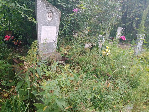 Севрюгина Екатерина Николаевна