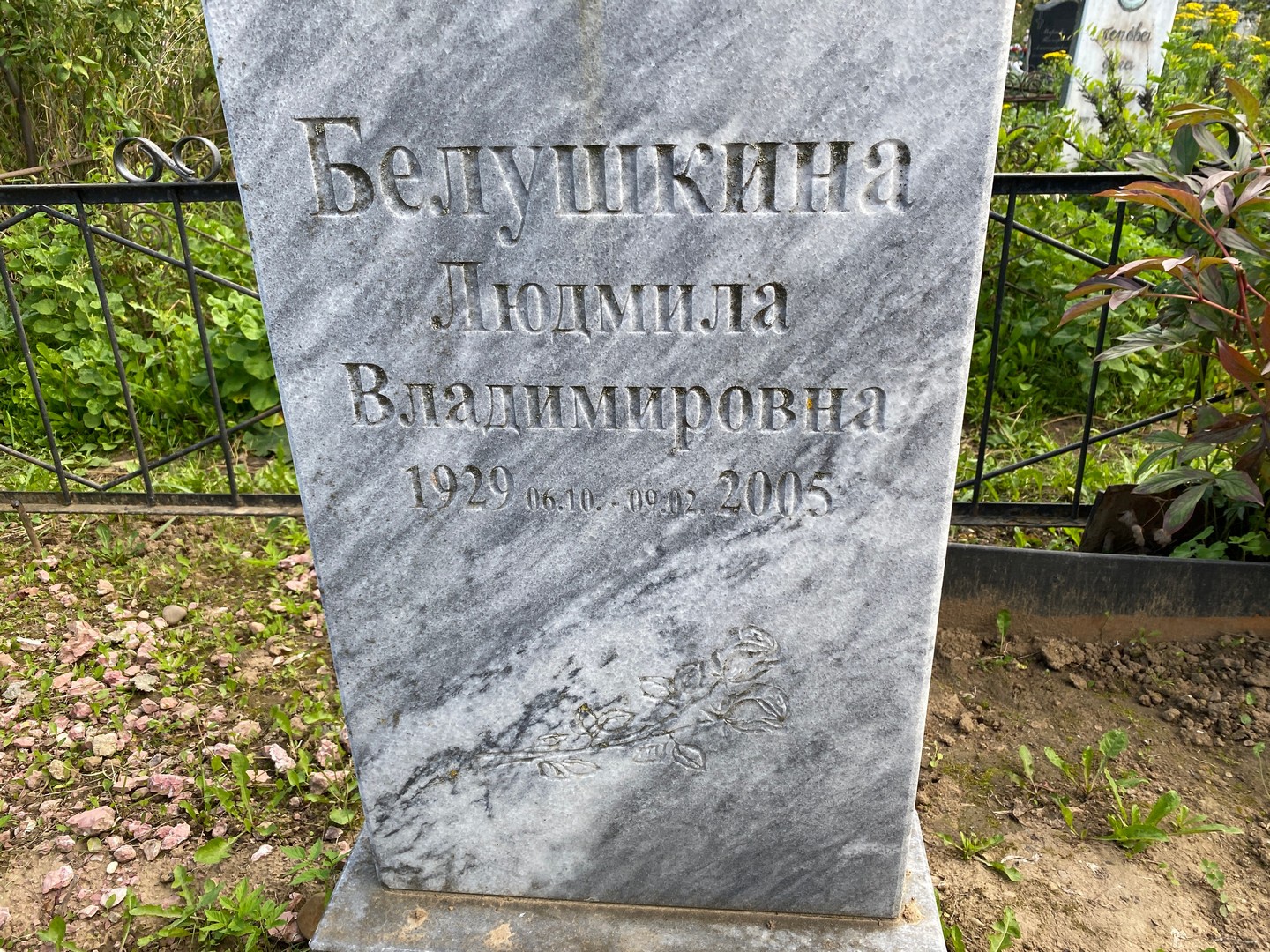 Белушкина