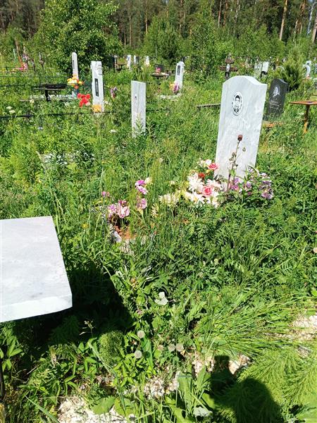 Полищук Виктор Петрович