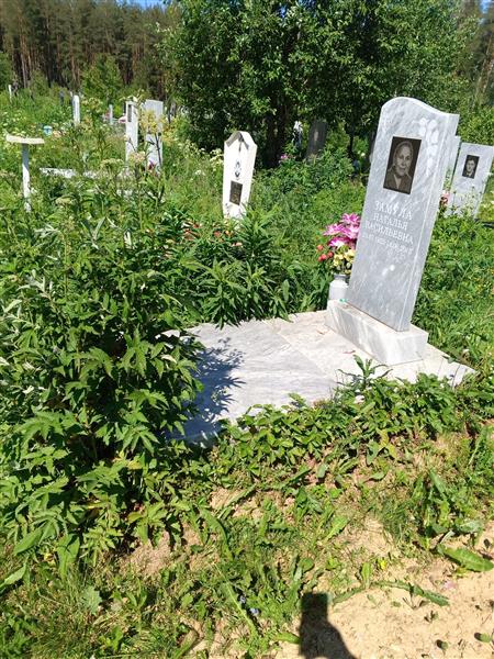 Замула Наталья Васильевна