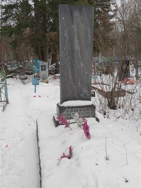 Бушуев Василий Яковлевич