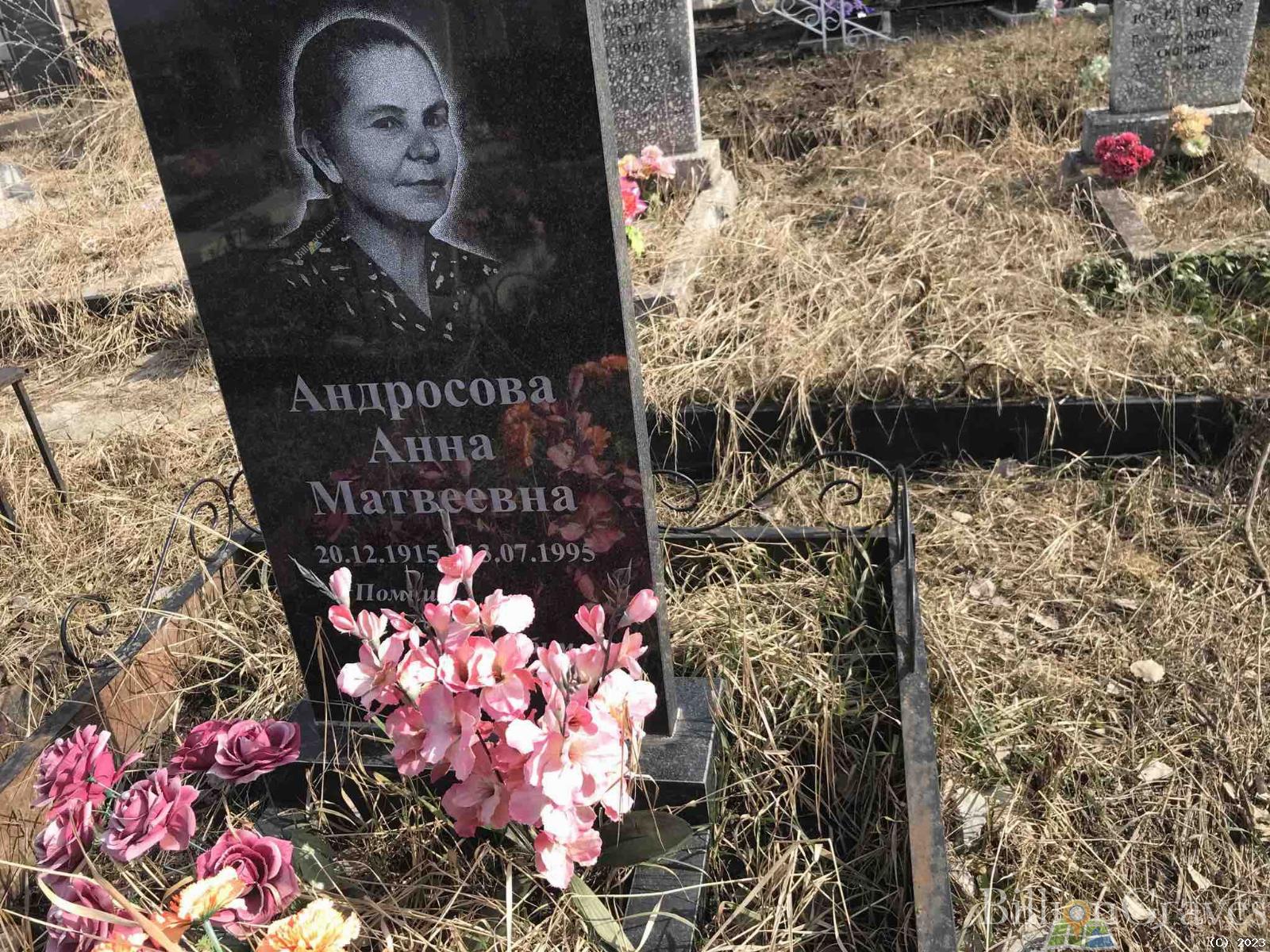 Андросова Анна Матвеевна