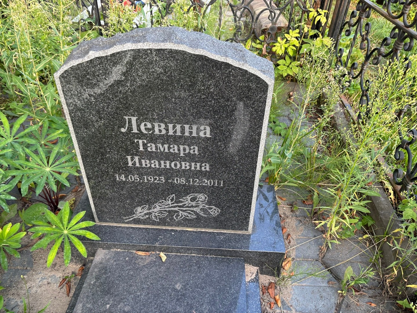 Левина