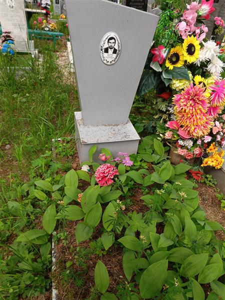 Долгушин Николай Александрович